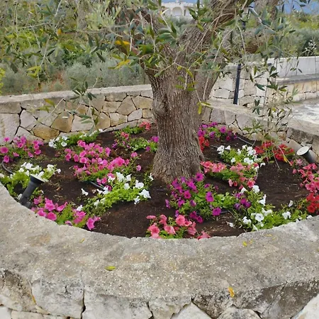 I Trulli Di Nonna Cosima Bed & Breakfast Santa Lucia (Brindisi)