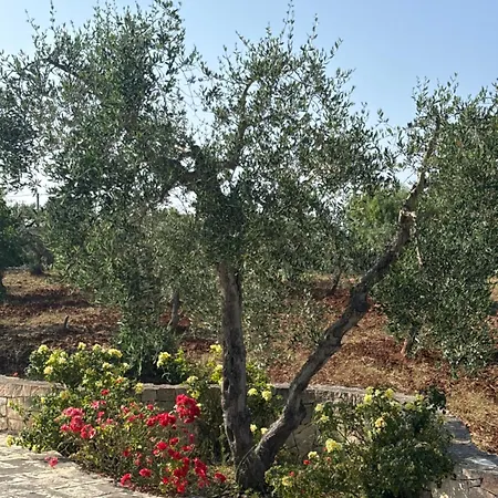 I Trulli Di Nonna Cosima Bed and breakfast *